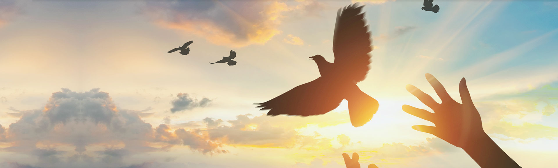 �������ǲ���(�й���)�ٷ���վ